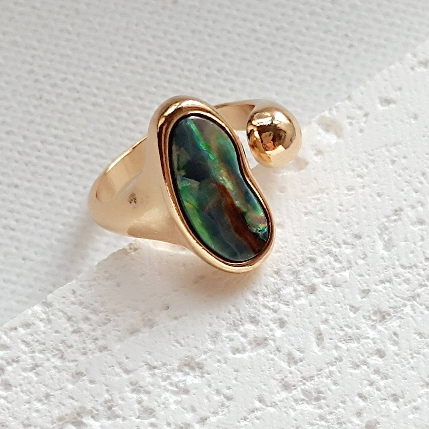Ring Abalone Muschel