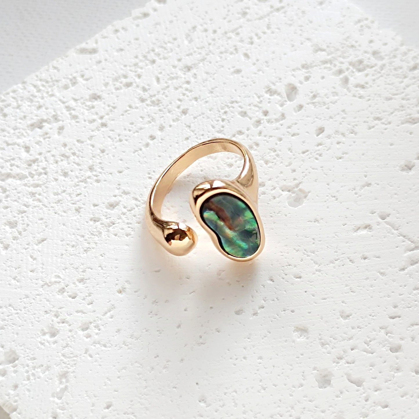 Ring Abalone Muschel