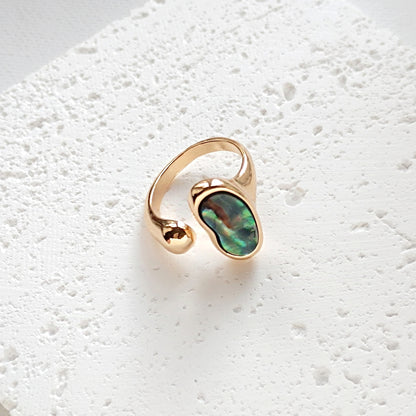 Ring Abalone Muschel