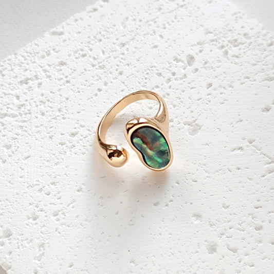 Ring Abalone Muschel